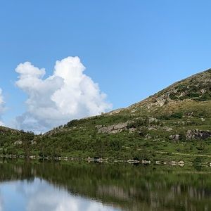 Meet your Posher, Dani